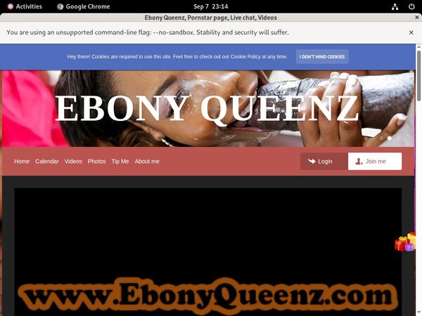 Ebony Queenz Account Passwords