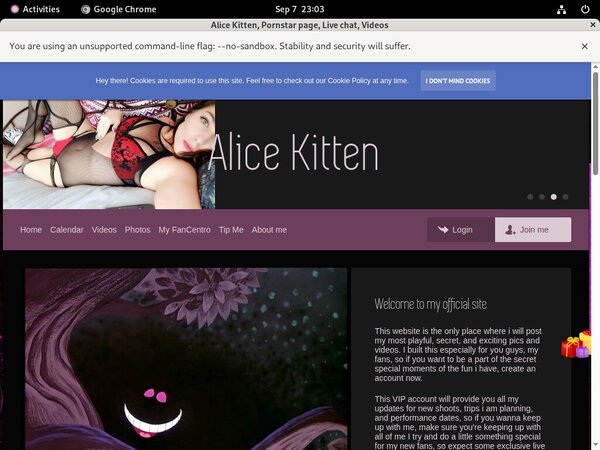 Free AliceKitten Login Account Free AliceKitten Login Account