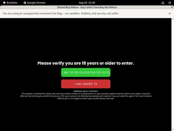 Free Schoolboyvideos.com Account Passwords