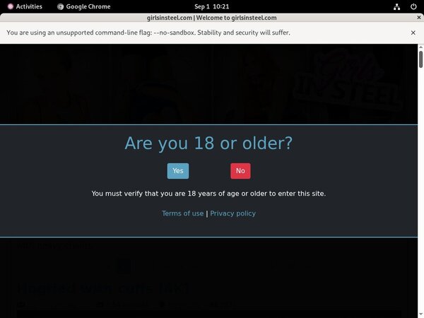 Girls In Steel With Yen