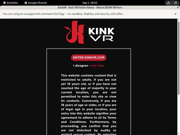 Kink VR Login Information