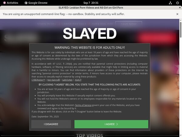 Slayed Password Free