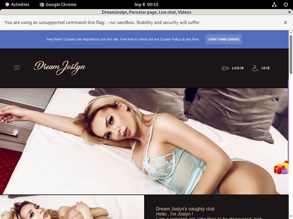 DreamJoslyn Payment Form