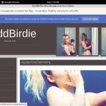 Free Logins For BaddBirdie Free Logins For BaddBirdie