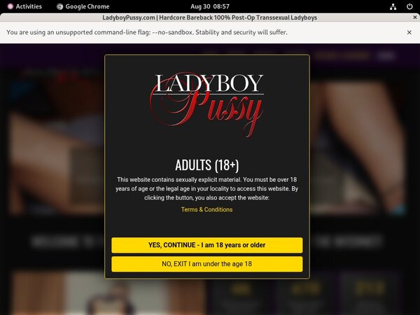 Get Ladyboy Pussy Deal