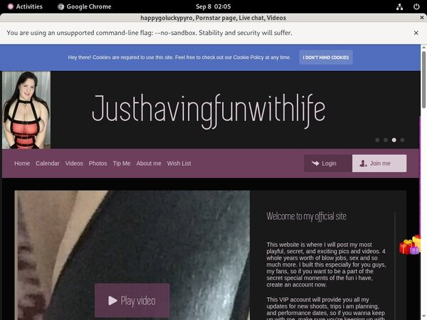 Happygoluckypyro Porn Account