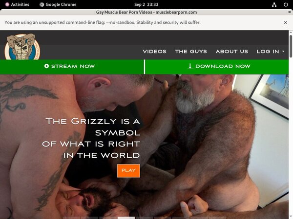 Muscle Bear Porn Image