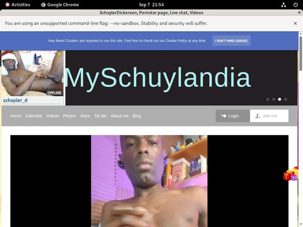 Myschuylandia.com Paswords