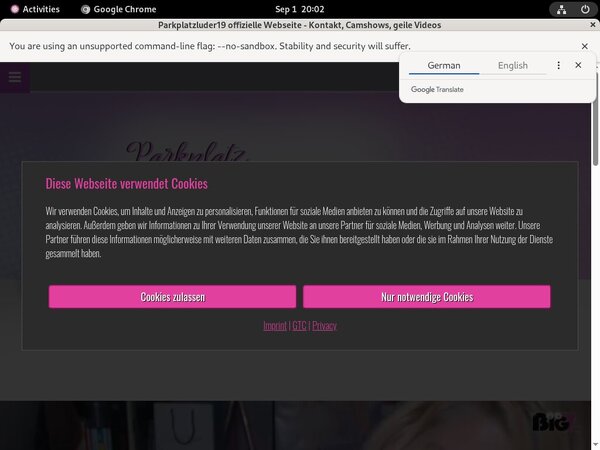 Parkplatzluder19.com Webcams