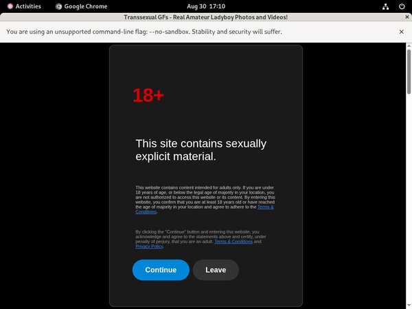 Transsexual GFs Toilet