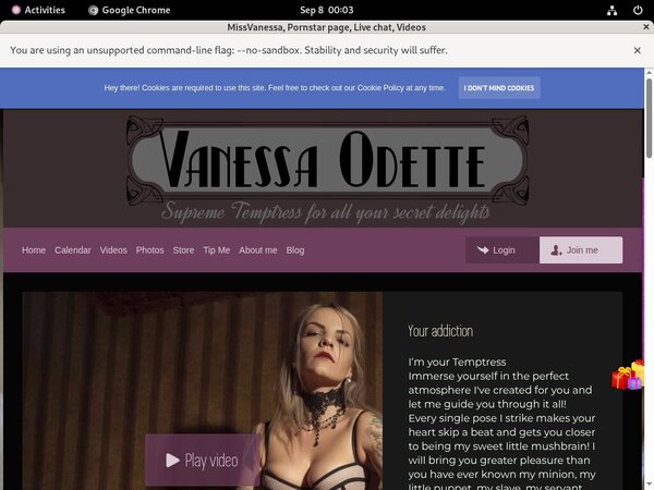 Using Paypal MissVanessa