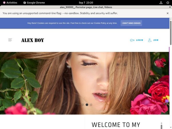 Alex90000.modelcentro.com Members Password