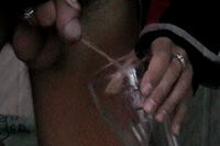 Boys Pissing gay porn stars