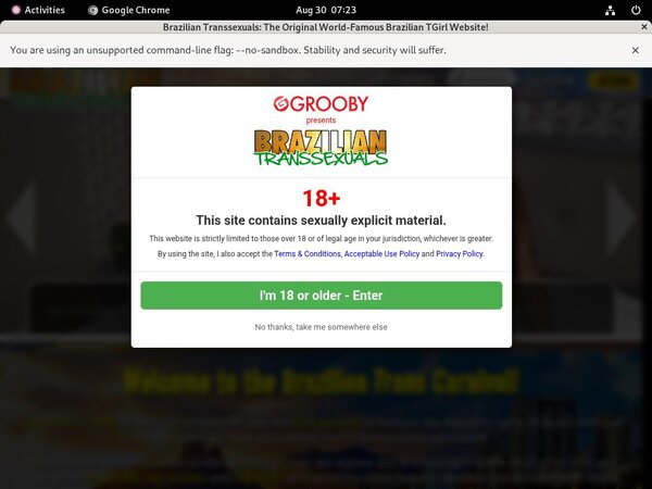 Brazilian Transsexuals Paypal Account