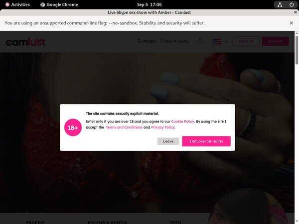Cracked AmberUsaeroticfun Account