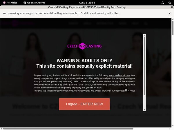 Czech VR Casting Premium Password