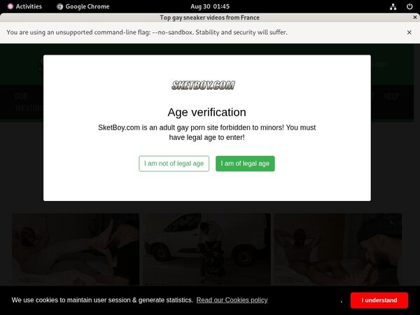 Free Accounts In Sketboy