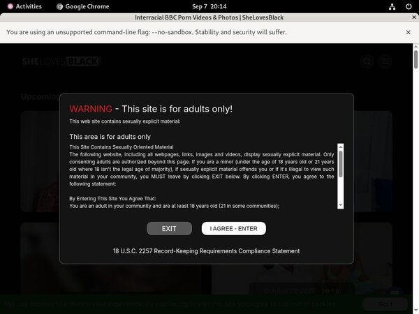 Free Accounts On She Loves Black
