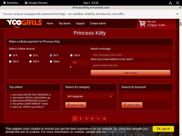 Free Login For Princess Kitty