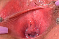 Gape My Pussy Login And Password s1