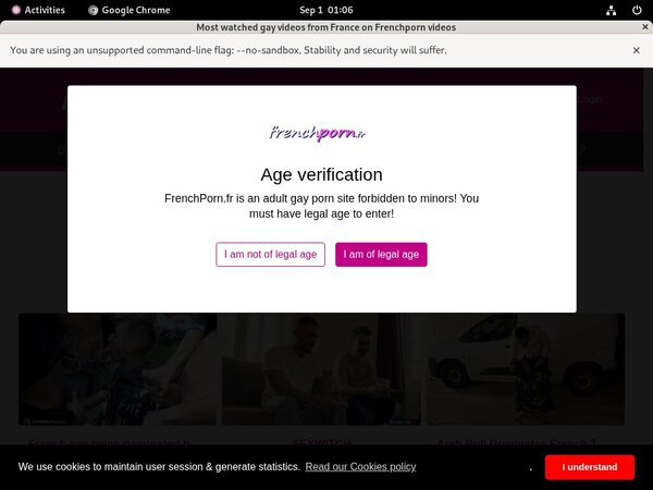 Gaypornfrench Discount Trial