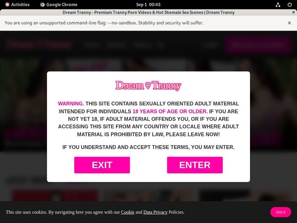 Hd Video Dreamtranny.com