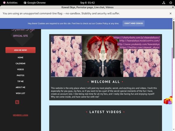 KawaiiSkye Gratis Password