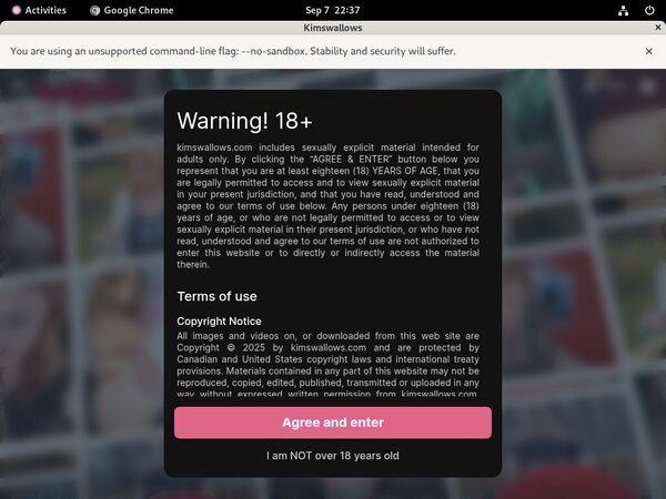 Kimswallows.com Xnxx