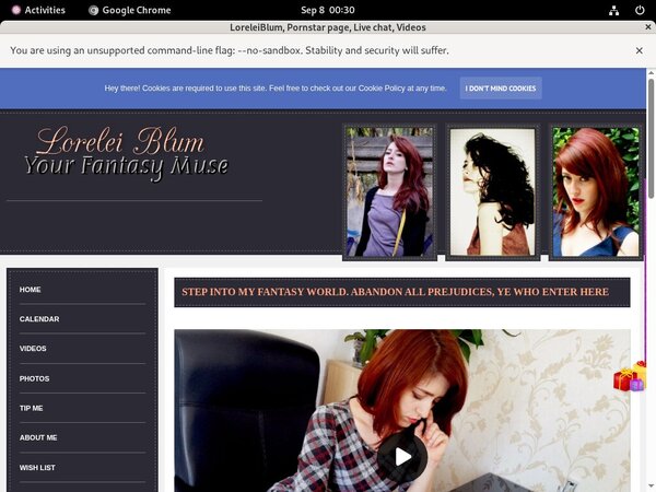 Login For Loreleiblum.modelcentro.com