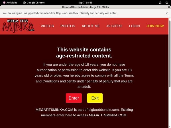 Megatitsminka Model List