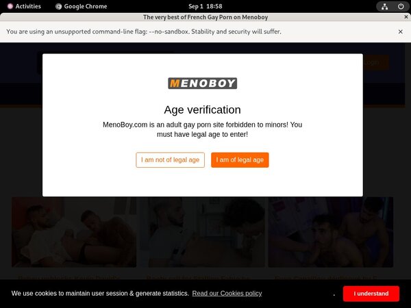 Menoboy Login Generator