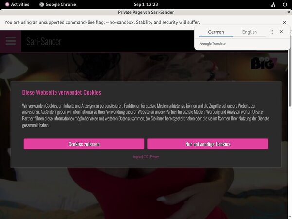 Sari Sander Coupon Offer