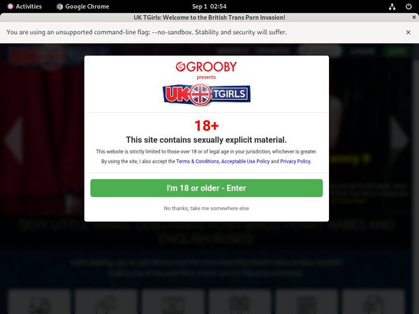 UK TGirls Password Site
