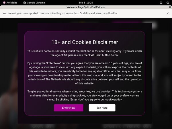 Videos X Feel Premium Password