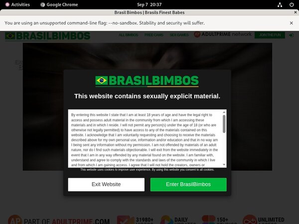 Xnxx Brasilbimbos.com