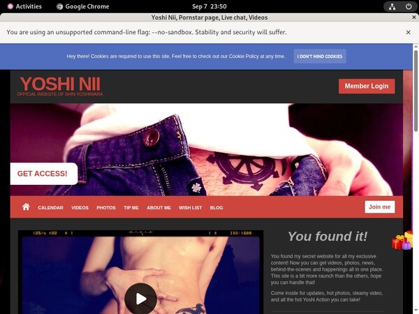Yoshi Nii Password Accounts
