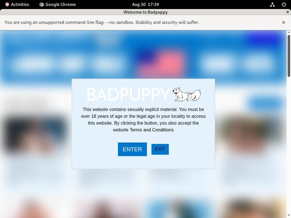 Badpuppy Passwords Accounts