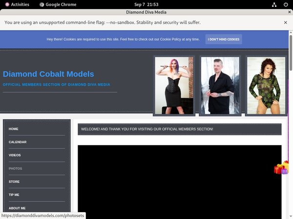 DiamondDivaMedia Hot Sex