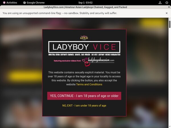 Free Ladyboyvice.com Porn