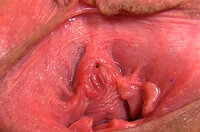 Gape My Pussy Discount Page s1