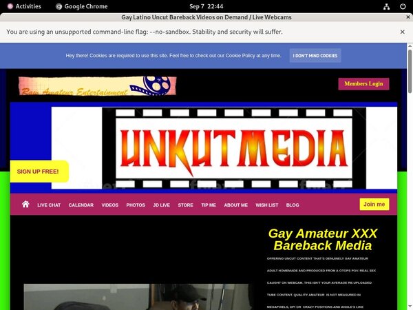 Jay D Porn Stars
