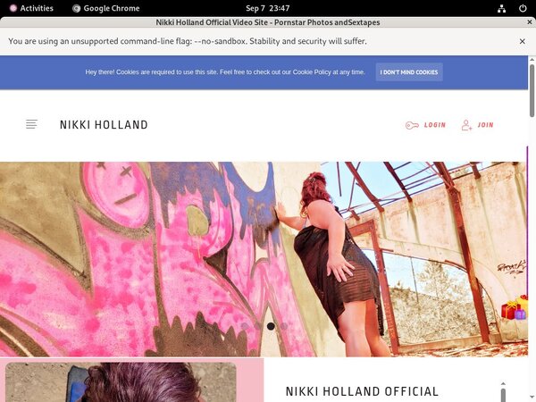 Nikkiholland.video Free Accounts And Passwords