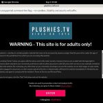 Plushies.tv With Discover Card