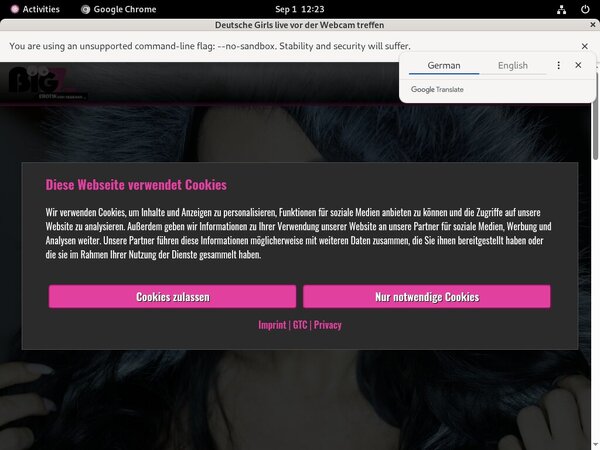 Premium Lanagiselle.tv Password