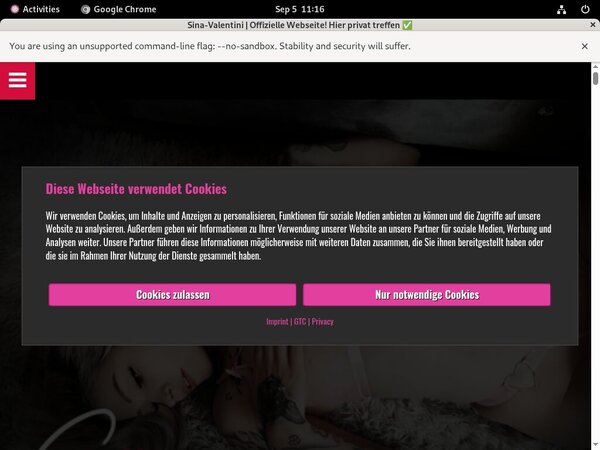 SinaValentini Free Passes