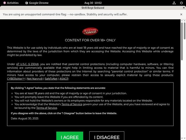 Str8boyzseduced Paysite Review