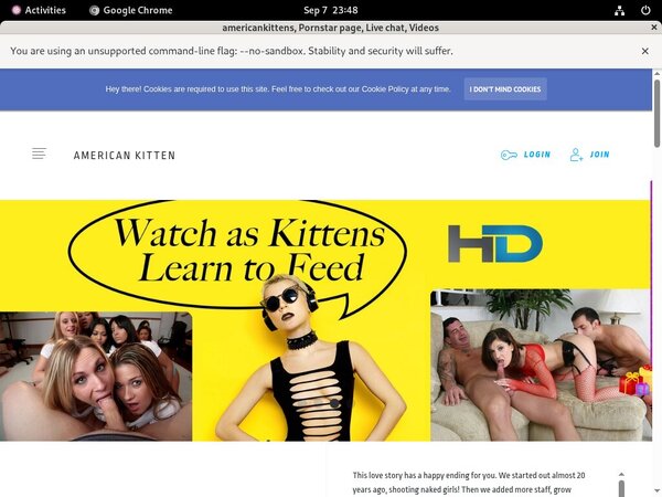 Free Americankitten.com Membership Trial