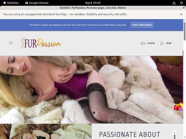 KaitlinK- FurPassion Password Blog