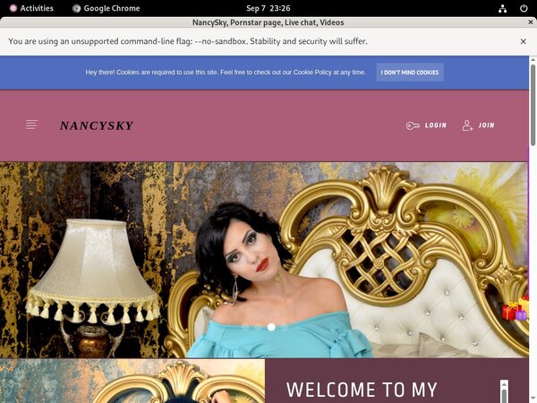 NancySky Paypal Discount