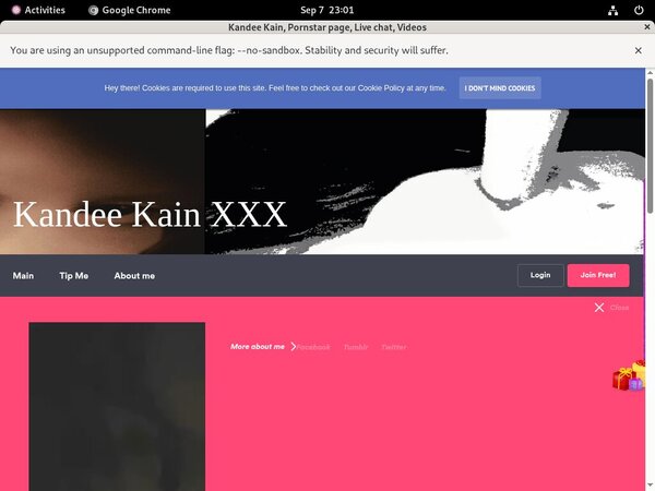 Kandee Kain Galleries Kandee Kain Galleries